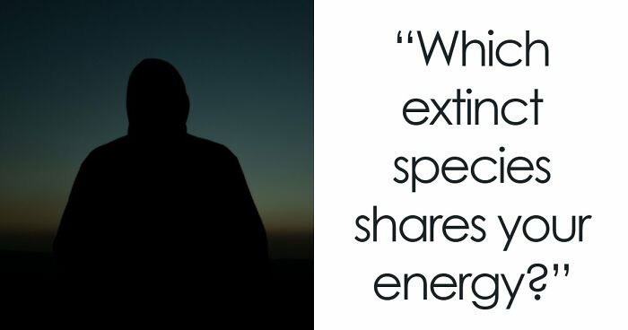 “Are You A Dodo Or A Mammoth?” This 20-Question Quiz Reveals The Extinct Species You Would Have Been