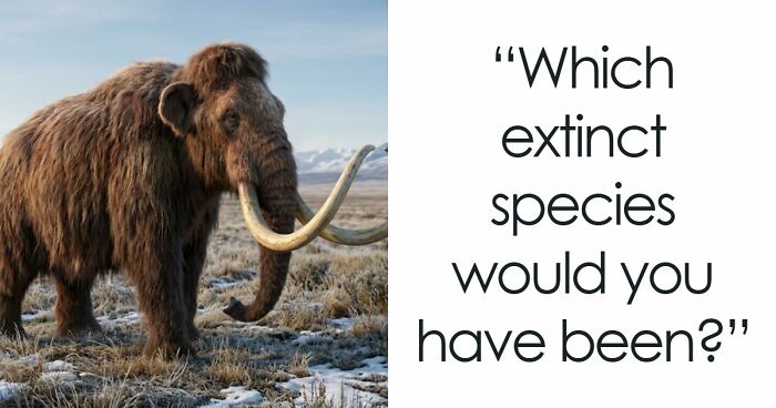 “Are You A Dodo Or A Mammoth?” This 20-Question Quiz Reveals The Extinct Species You Would Have Been
