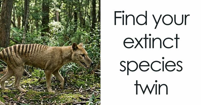 “Are You A Dodo Or A Mammoth?” This 20-Question Quiz Reveals The Extinct Species You Would Have Been