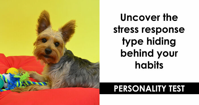 “Do You Fight Or Run Away?”: See How You Handle Stress