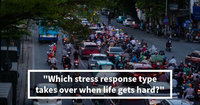 “Do You Fight Or Run Away?”: See How You Handle Stress