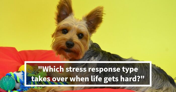 “Do You Fight Or Run Away?”: See How You Handle Stress