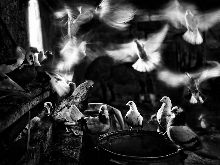 © Oliver Klink