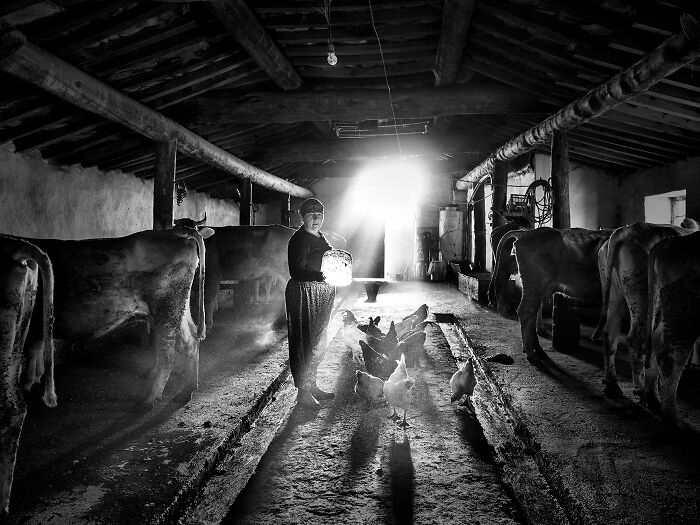 © Oliver Klink