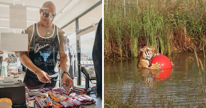 57 Heartwarming Posts From The Better Side Of The Internet