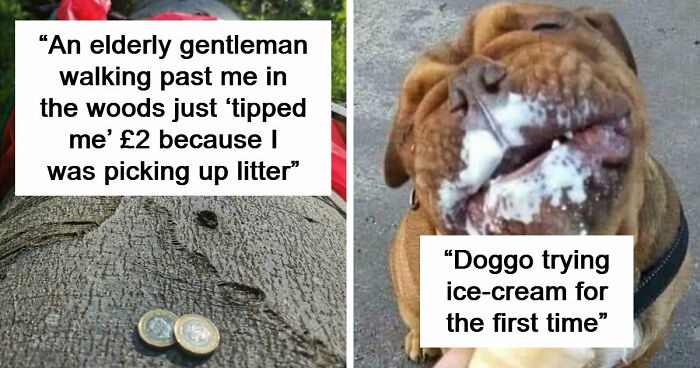 If You Struggle To See Good In The World, Here Are 88 Wholesome Posts To Remind You What Matters Most