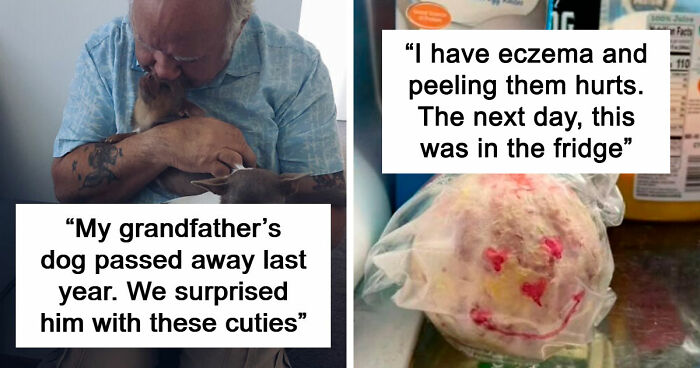 If You Struggle To See Good In The World, Here Are 88 Wholesome Posts To Remind You What Matters Most