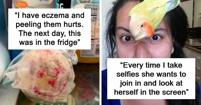 If You Struggle To See Good In The World, Here Are 88 Wholesome Posts To Remind You What Matters Most