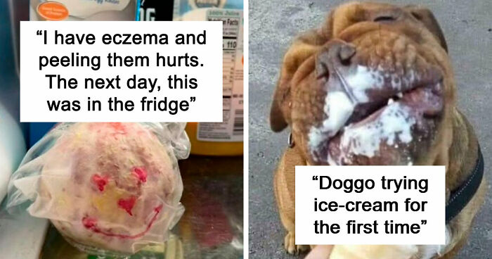 If You Struggle To See Good In The World, Here Are 88 Wholesome Posts To Remind You What Matters Most