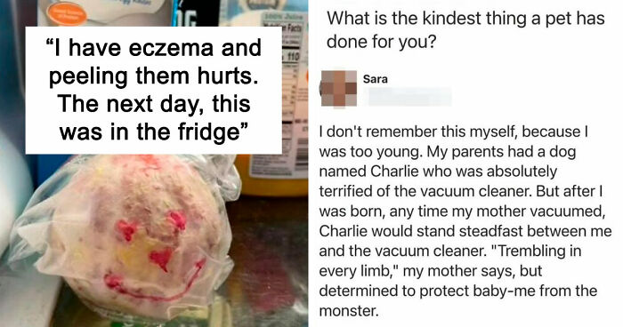 If You Struggle To See Good In The World, Here Are 88 Wholesome Posts To Remind You What Matters Most