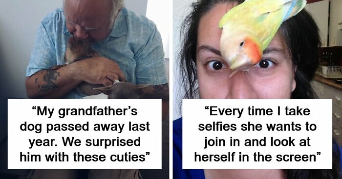 If You Struggle To See Good In The World, Here Are 88 Wholesome Posts To Remind You What Matters Most