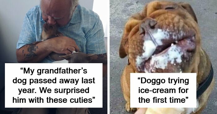 If You Struggle To See Good In The World, Here Are 88 Wholesome Posts To Remind You What Matters Most