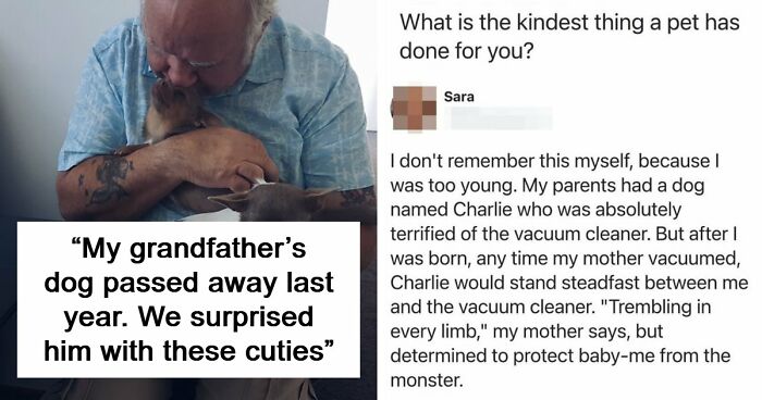 If You Struggle To See Good In The World, Here Are 88 Wholesome Posts To Remind You What Matters Most