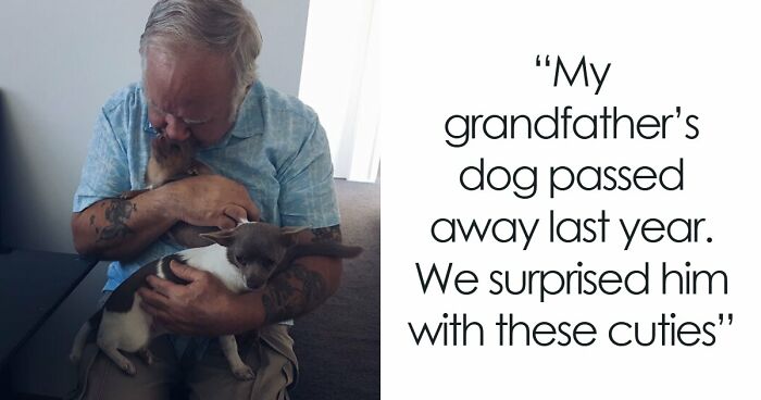 If You Struggle To See Good In The World, Here Are 88 Wholesome Posts To Remind You What Matters Most