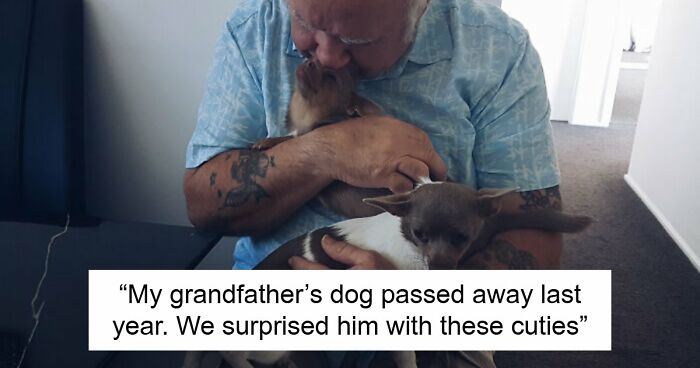If You Struggle To See Good In The World, Here Are 88 Wholesome Posts To Remind You What Matters Most