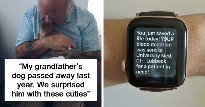If You Struggle To See Good In The World, Here Are 88 Wholesome Posts To Remind You What Matters Most