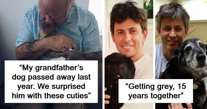 If You Struggle To See Good In The World, Here Are 88 Wholesome Posts To Remind You What Matters Most