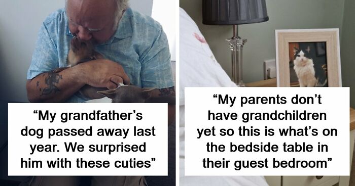 If You Struggle To See Good In The World, Here Are 88 Wholesome Posts To Remind You What Matters Most