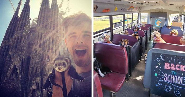 If You Are Having A Bad Day, These 80 Aww-Worthy Photos And Stories May Lift Your Spirits
