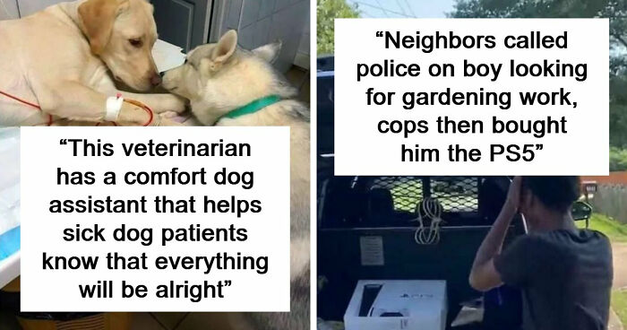 If You Are Having A Bad Day, These 80 Aww-Worthy Photos And Stories May Lift Your Spirits