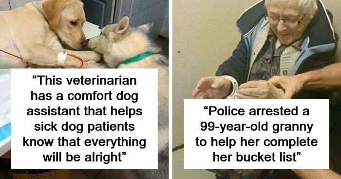 If You Are Having A Bad Day, These 80 Aww-Worthy Photos And Stories May Lift Your Spirits
