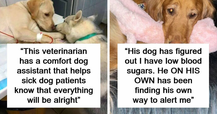 If You Are Having A Bad Day, These 80 Aww-Worthy Photos And Stories May Lift Your Spirits