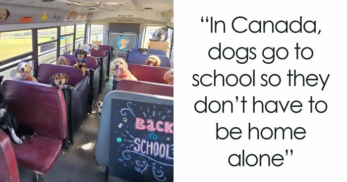 If You Are Having A Bad Day, These 80 Aww-Worthy Photos And Stories May Lift Your Spirits