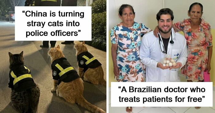 If You Are Having A Bad Day, These 80 Aww-Worthy Photos And Stories May Lift Your Spirits