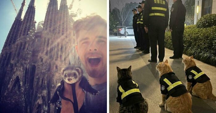 If You Are Having A Bad Day, These 80 Aww-Worthy Photos And Stories May Lift Your Spirits