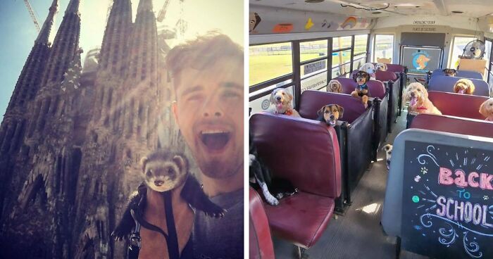 If You Are Having A Bad Day, These 80 Aww-Worthy Photos And Stories May Lift Your Spirits