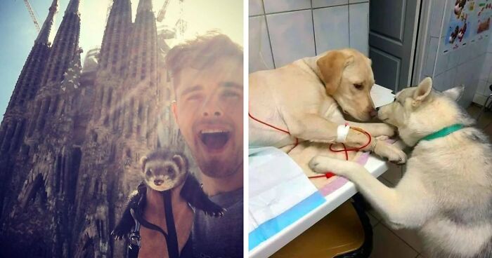 If You Are Having A Bad Day, These 80 Aww-Worthy Photos And Stories May Lift Your Spirits