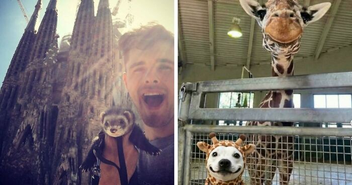 If You Are Having A Bad Day, These 80 Aww-Worthy Photos And Stories May Lift Your Spirits