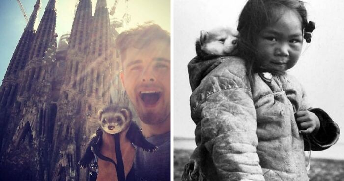 If You Are Having A Bad Day, These 80 Aww-Worthy Photos And Stories May Lift Your Spirits