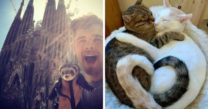 If You Are Having A Bad Day, These 80 Aww-Worthy Photos And Stories May Lift Your Spirits