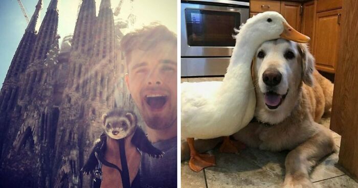 If You Are Having A Bad Day, These 80 Aww-Worthy Photos And Stories May Lift Your Spirits