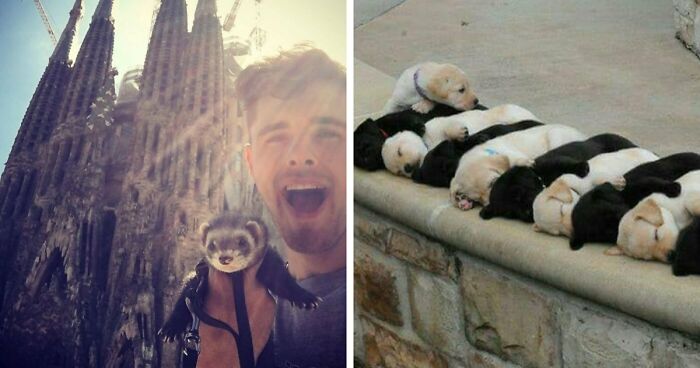 If You Are Having A Bad Day, These 80 Aww-Worthy Photos And Stories May Lift Your Spirits