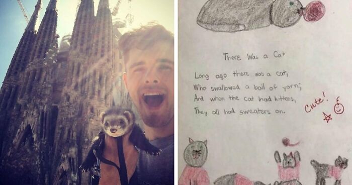 If You Are Having A Bad Day, These 80 Aww-Worthy Photos And Stories May Lift Your Spirits