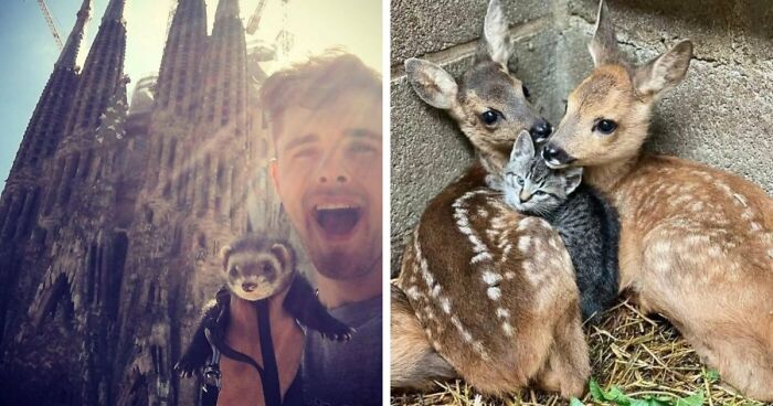 If You Are Having A Bad Day, These 80 Aww-Worthy Photos And Stories May Lift Your Spirits