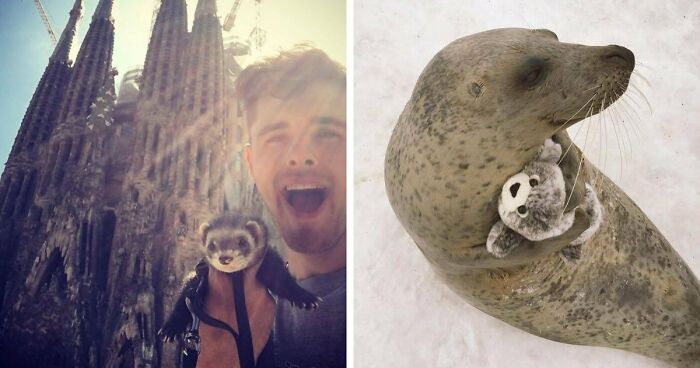 If You Are Having A Bad Day, These 80 Aww-Worthy Photos And Stories May Lift Your Spirits