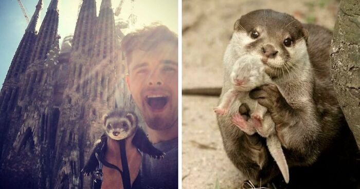 If You Are Having A Bad Day, These 80 Aww-Worthy Photos And Stories May Lift Your Spirits