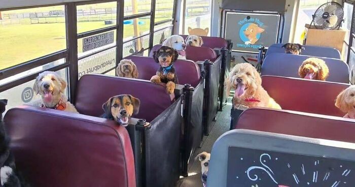 If You Are Having A Bad Day, These 80 Aww-Worthy Photos And Stories May Lift Your Spirits