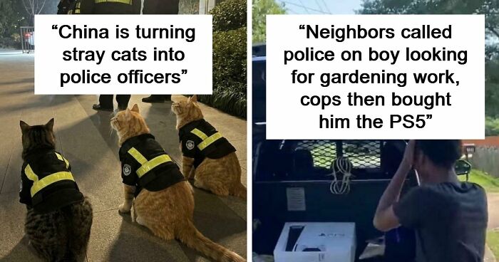 If You Are Having A Bad Day, These 80 Aww-Worthy Photos And Stories May Lift Your Spirits