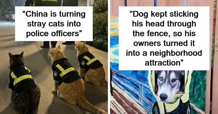 If You Are Having A Bad Day, These 80 Aww-Worthy Photos And Stories May Lift Your Spirits