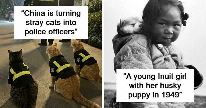 If You Are Having A Bad Day, These 80 Aww-Worthy Photos And Stories May Lift Your Spirits