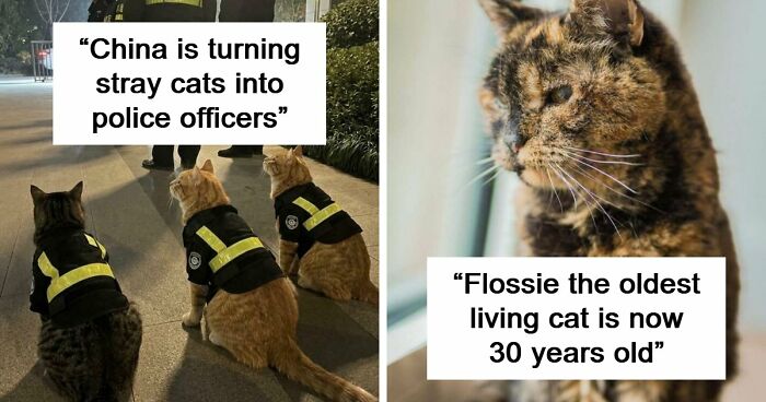 If You Are Having A Bad Day, These 80 Aww-Worthy Photos And Stories May Lift Your Spirits