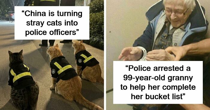 If You Are Having A Bad Day, These 80 Aww-Worthy Photos And Stories May Lift Your Spirits