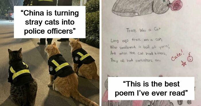 If You Are Having A Bad Day, These 80 Aww-Worthy Photos And Stories May Lift Your Spirits