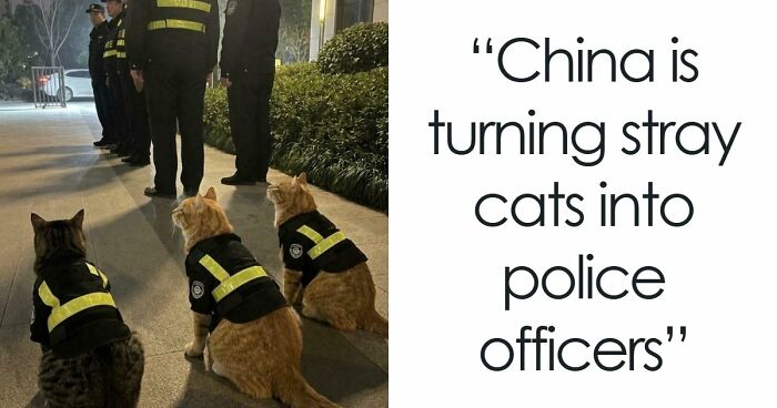 If You Are Having A Bad Day, These 80 Aww-Worthy Photos And Stories May Lift Your Spirits