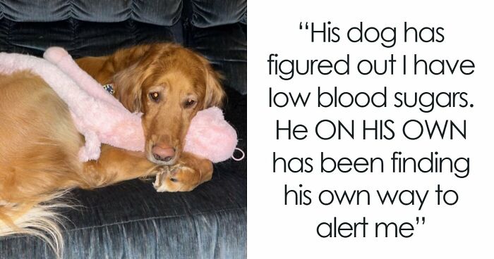 If You Are Having A Bad Day, These 80 Aww-Worthy Photos And Stories May Lift Your Spirits