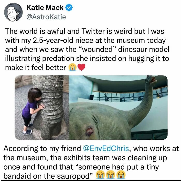 Screenshot of Katie Mack's wholesome online post about her niece hugging a wounded dinosaur model at a museum.